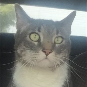 Meet your Posher, Ashlee